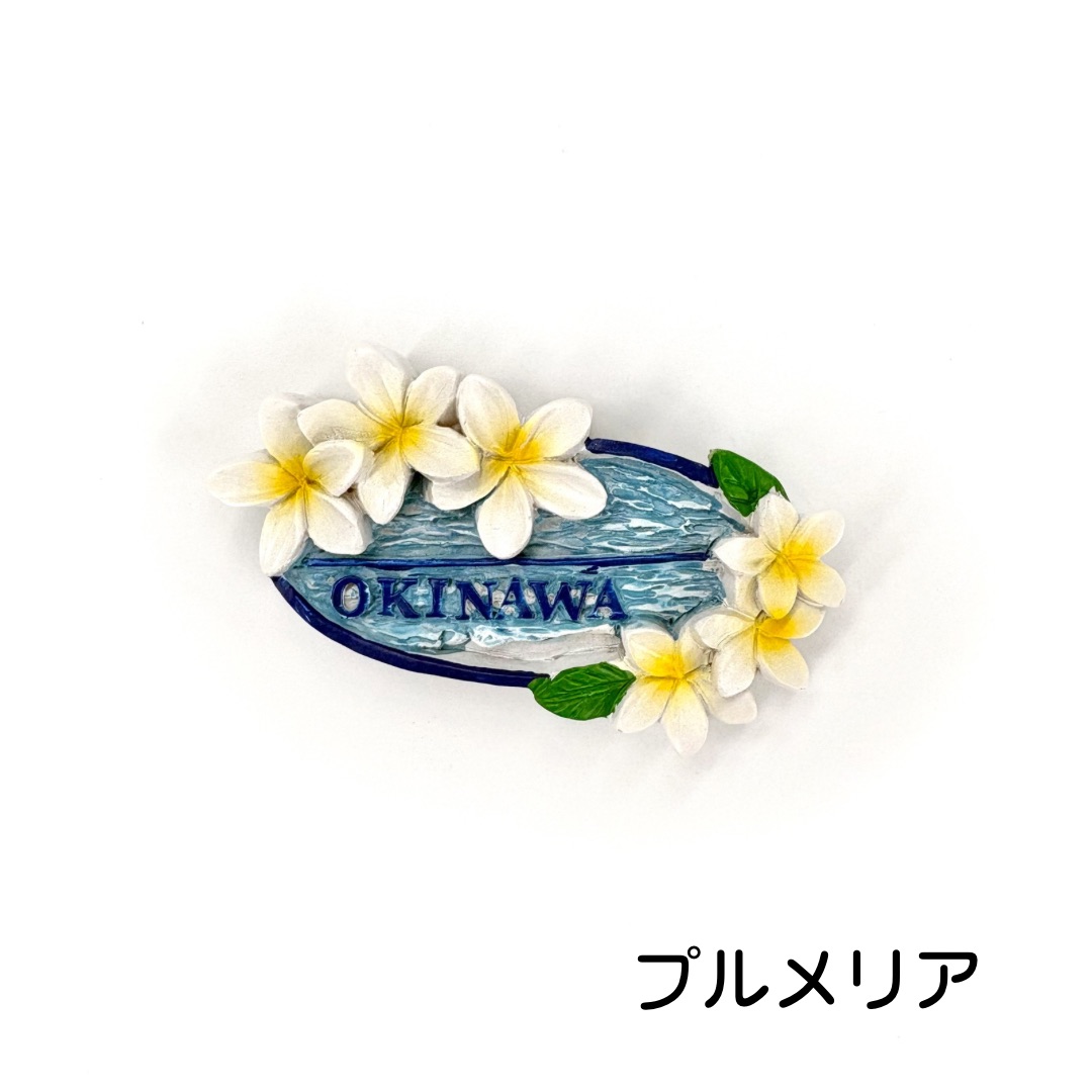沖縄限定ご当地マグネット(各種)