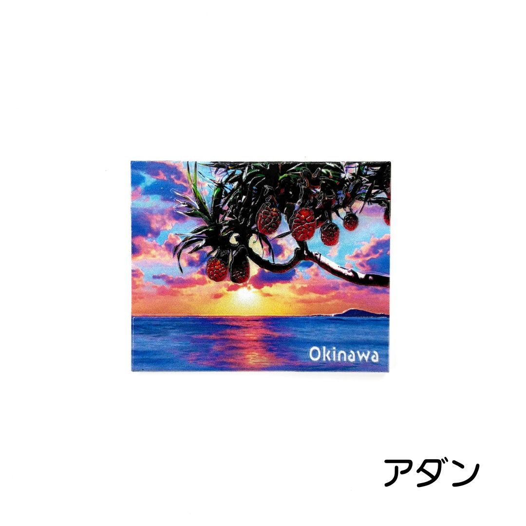 【沖縄限定】ご当地マグネット(各種)
