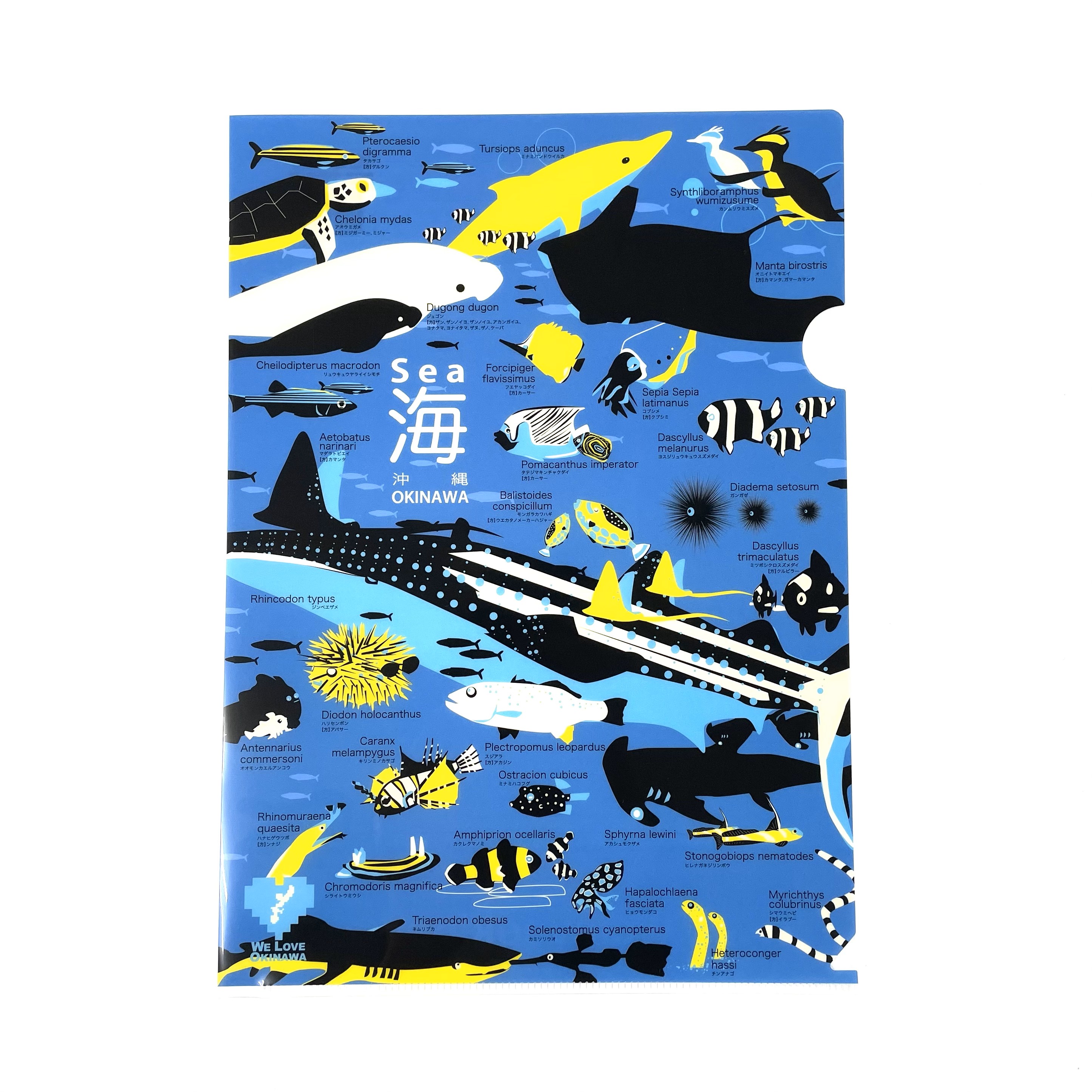 クリアファイル WE LOVE OKINAWA (自然)