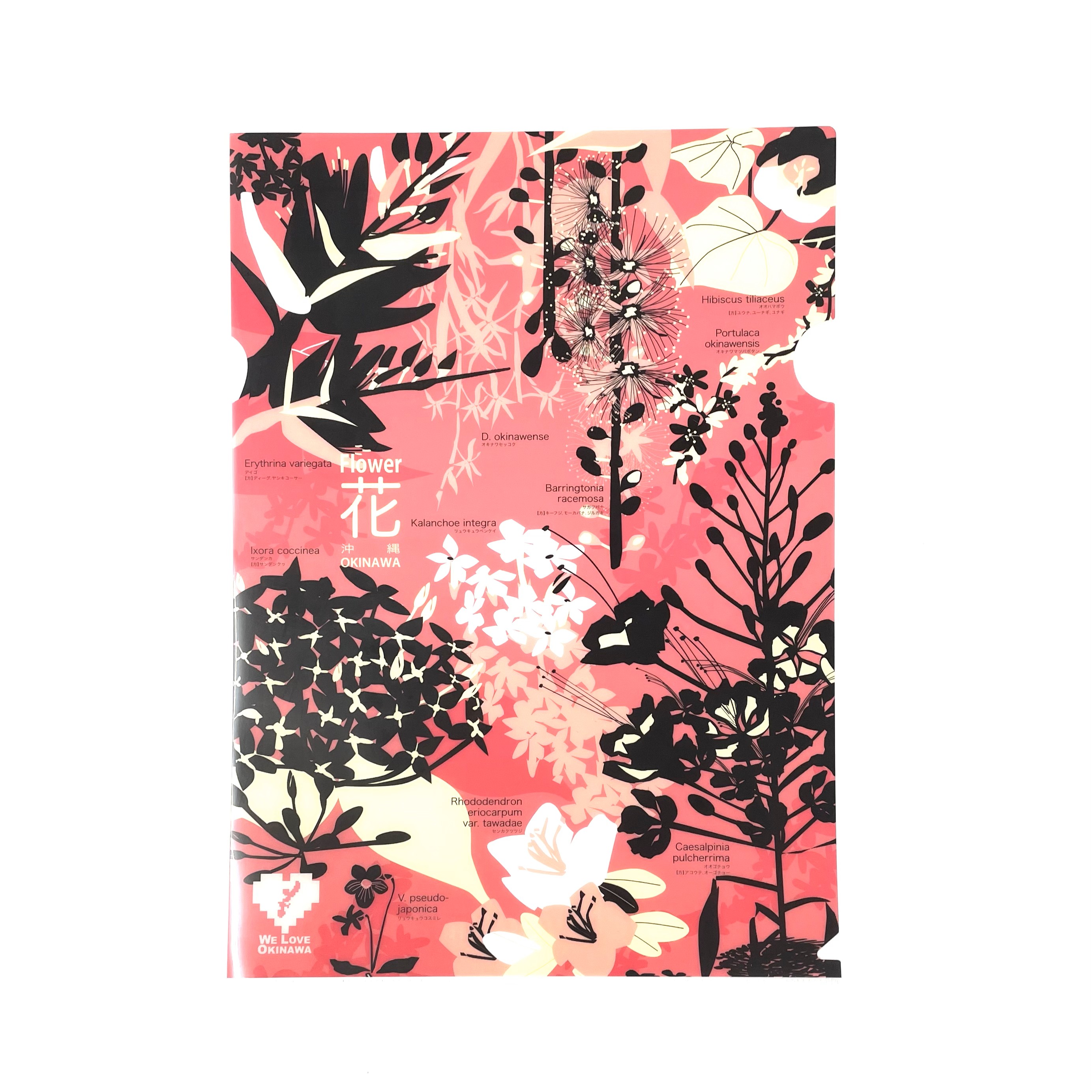 クリアファイル WE LOVE OKINAWA (自然)