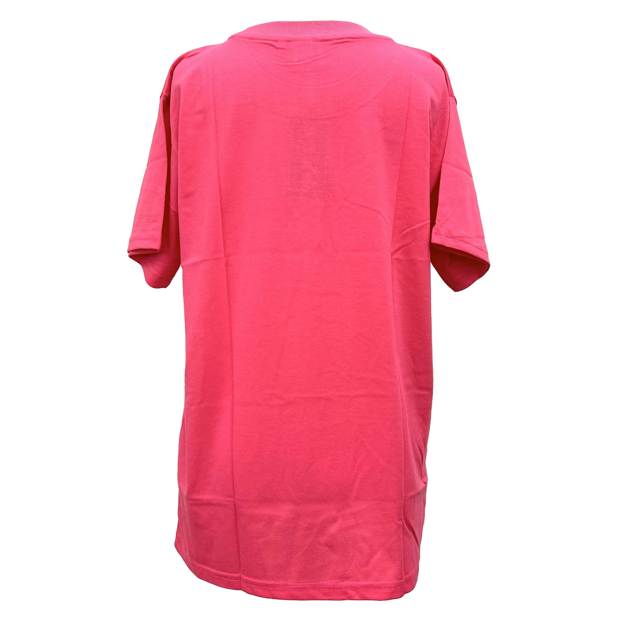 【SHISA】Tシャツ（S/M/L/XL）