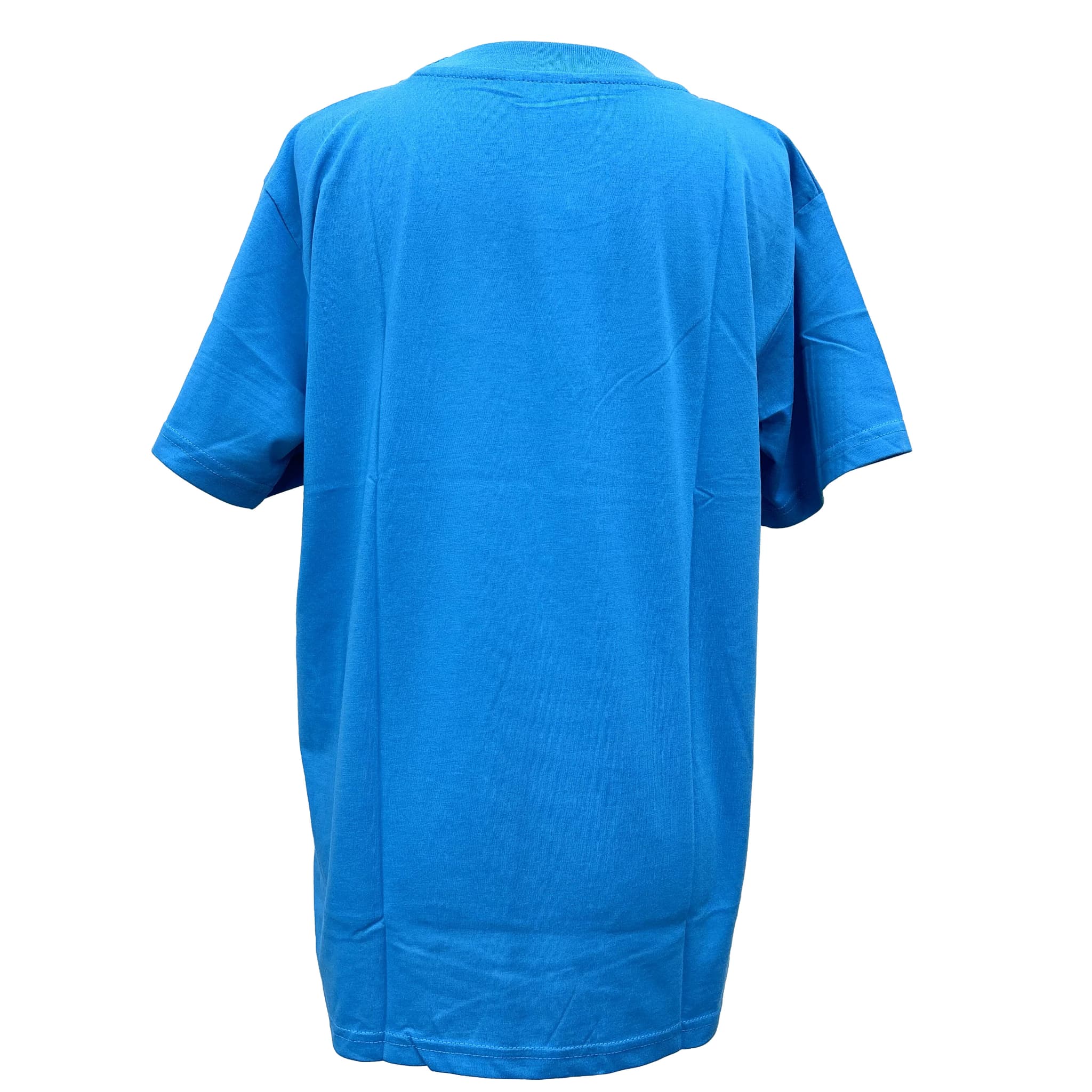 【SHISA】Tシャツ（S/M/L/XL）