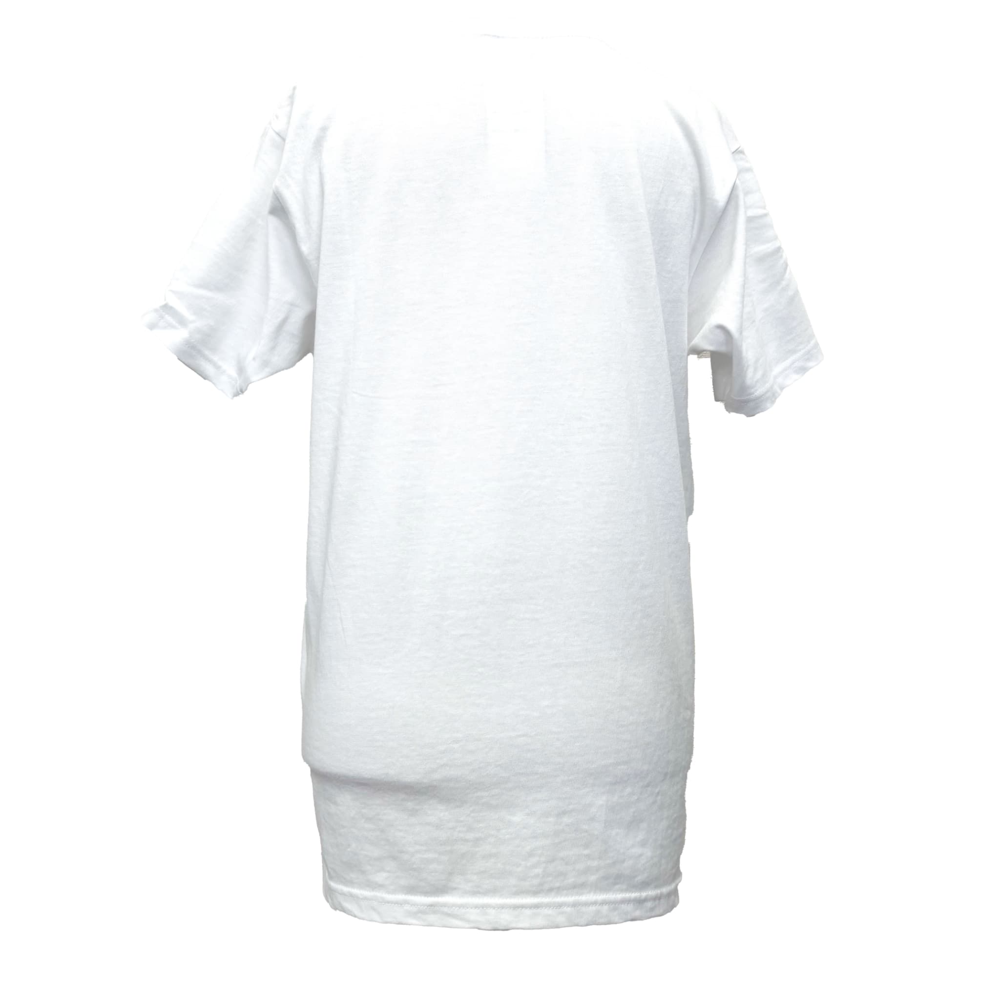 【メンズ美ら織】Tシャツ (M/L/XL)