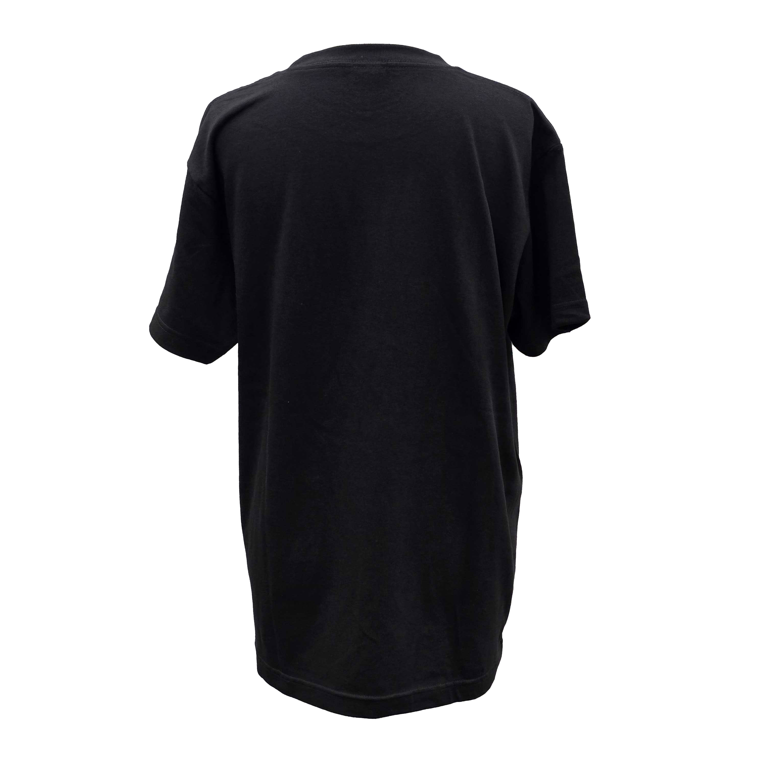 根間ういデザインTシャツ シーサー