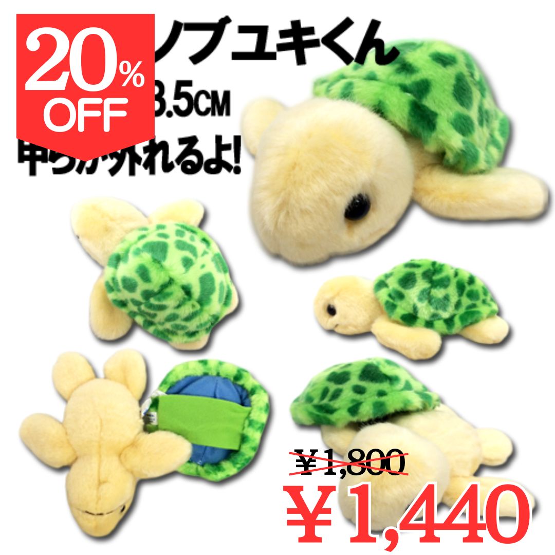 【20％OFF】☆AQUA カメのノブユキくん (S)