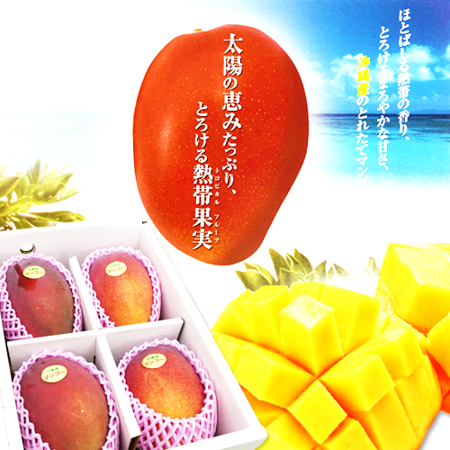 沖縄県産　完熟マンゴー1kg