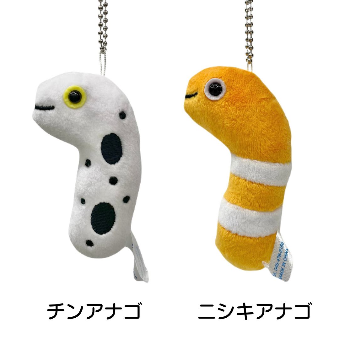 AQUA アナゴキーホルダー