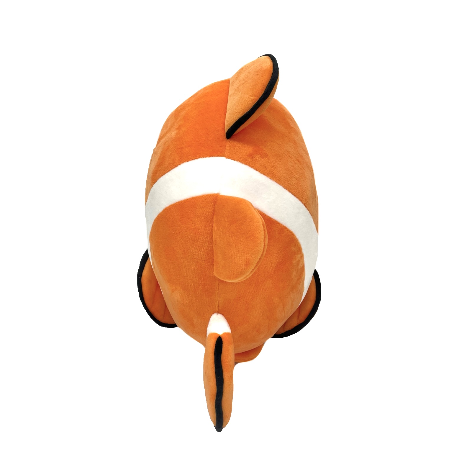 AQUAまるまるクマノミ君L